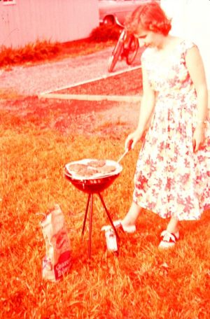 NBHA slides1363